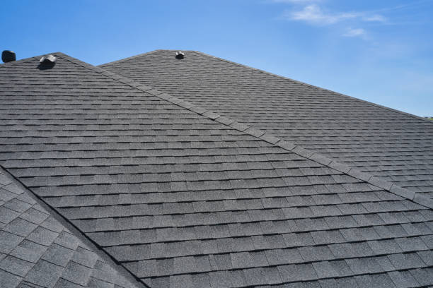 Roof Moss and Algae Removal in Plainview, TX