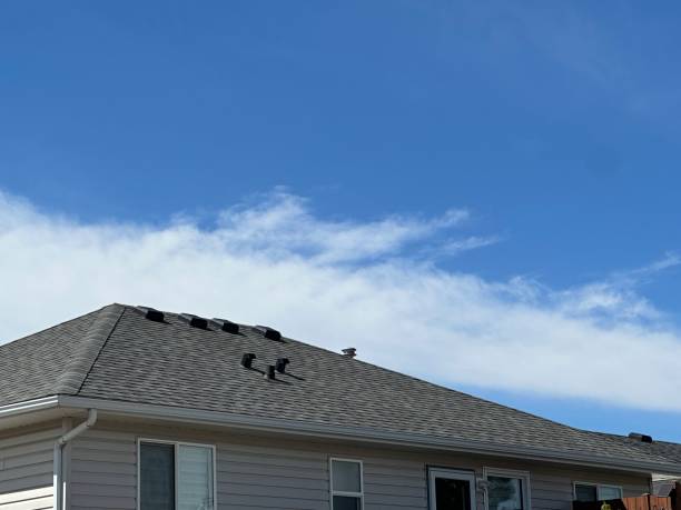 Best Roof Ventilation Installation  in Plainview, TX